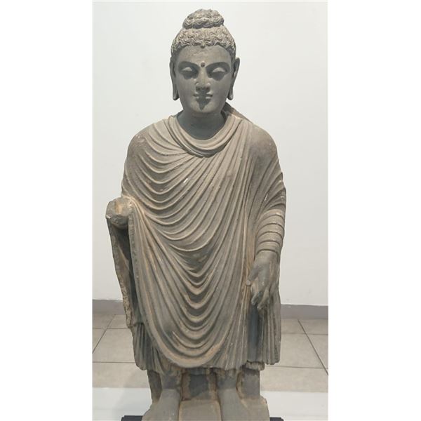 Antique 3rd century Gandhara Buddha (Rare Art )