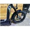 Image 2 : *NEW IN BOX* ALPINE RIDING A-RIDE PACIFIC COASTER FULL SUSPENSION ELECTRIC SIZE 24" FAT