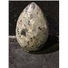 Image 2 : YOOPERLITE EGG RETAIL $580