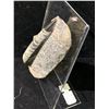 Image 2 : ORTHOCERAS FOSSIL SPECIMEN DISPLAY RETAIL $480