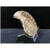 Image 2 : GENUINE AMMONITE AGONIATITE FOSSIL SPECIMEN RETAIL $700