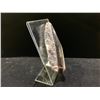 Image 2 : ORTHOCERAS FOSSIL SPECIMEN RETAIL $480