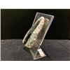 Image 3 : ORTHOCERAS FOSSIL SPECIMEN RETAIL $480