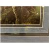 Image 2 : FRAMED KEN SKODA "MAGIC OF WILDERNESS" (78/998)