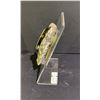 Image 2 : ORTHOCERAS FOSSIL SPECIMEN RETAIL $480
