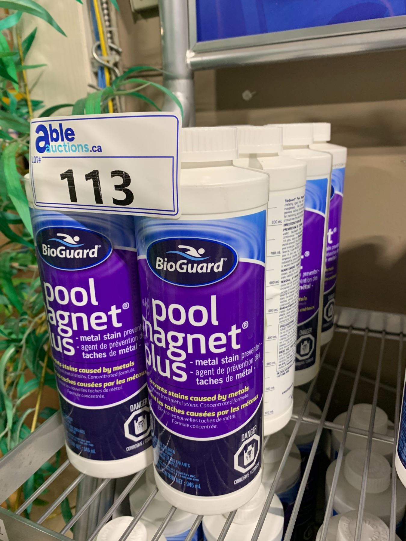 8- 946ML BOTTLES OF BIOGUARD POOL MAGNET PLUS METAL STAIN PREVENTER ...