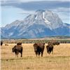 Image 4 : JACKSON HOLE, WYOMING - “ SUMMER GET AWAY FOR TWO“