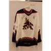Image 1 : * Vladislav Nagy Autographed Jersey - #47 Phoenix Coyotes CCM NHL Licensed, Men's XL, NWT