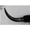 Image 2 : Wall-Mounted Bull Horns