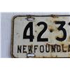 Image 2 : Newfoundland 1961 License Plate