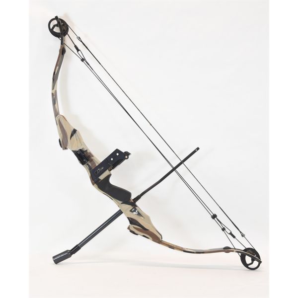 Vintage Golden Eagle Compound Bow
