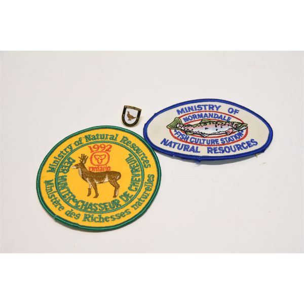 Box Lot Patches & Pin