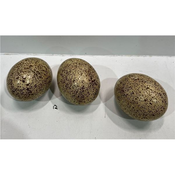 Three Decorative Speckled Eggs 5H