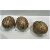 Image 1 : Three Decorative Speckled Eggs 5H