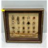 Image 1 : Framed Fishing Flies Tied by  VN Marsh member of The Edmonton Trout Fishing Club
