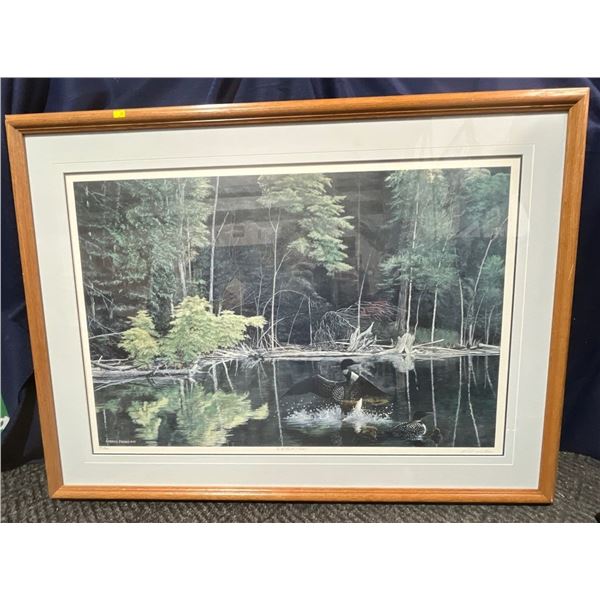 "Wild Shore Loons" by Andres Paabo Framed 43W 32H