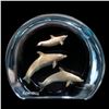 Image 1 : Kitty Cantrell "Aquatic Ballet" Limited Edition Mixed Media Lucite Sculpture