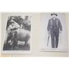 Image 2 : Tea cards, Jumbo elephant, cowby postcards