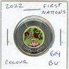 Image 1 : 2022 First Nations Toonie. Colourized. BU.