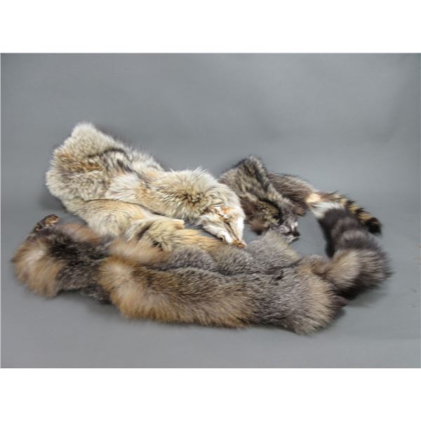 Tanned Coyote, Gray Fox, And Raccoon Hide
