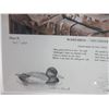Image 3 : 2 Signed And Numbered Ward Bros Decoy Prints- Print 1 1920 Bluebill and 1926 Pintail- 124/450- Print