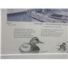 Image 2 : 2 Signed And Numbered Ward Bros Decoy Prints- Print 1 1968 Goldeneye Hen And Drake- 124/450- Print 2