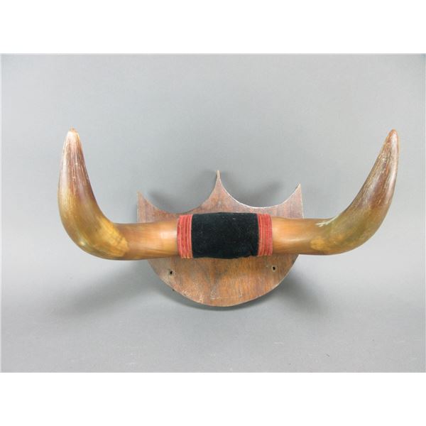 Small Set Of Steer Horns- 13"W