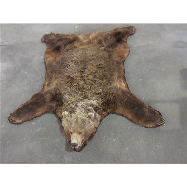 Very Large Double Matted Grizzly Bear Rug Great Hair Very Large Skull