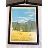 Image 2 : 4 Framed Nature Photographs