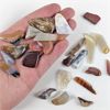 Image 1 : Lot of 26 Various Polished Stones