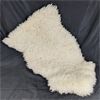 Image 1 : Tanned Sheep Hide