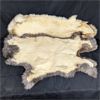 Image 2 : Lot of 2 Tanned Rabbit Pelts