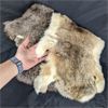 Image 3 : Lot of 2 Tanned Rabbit Pelts