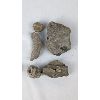 Image 8 : Lot of Various Fossil Specimens 