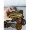 Image 4 : 10KG of Rough Lapidary Rock - Agate & Petrified Wood