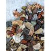Image 10 : Large Lot of Various Rocks & Fossils