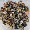 Image 1 : Large Lot of Various Rocks & Fossils