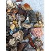 Image 5 : Large Lot of Various Rocks & Fossils