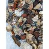 Image 9 : Large Lot of Various Rocks & Fossils