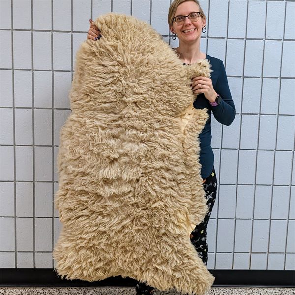 Full Sheep Skin Rug 50" x 33"