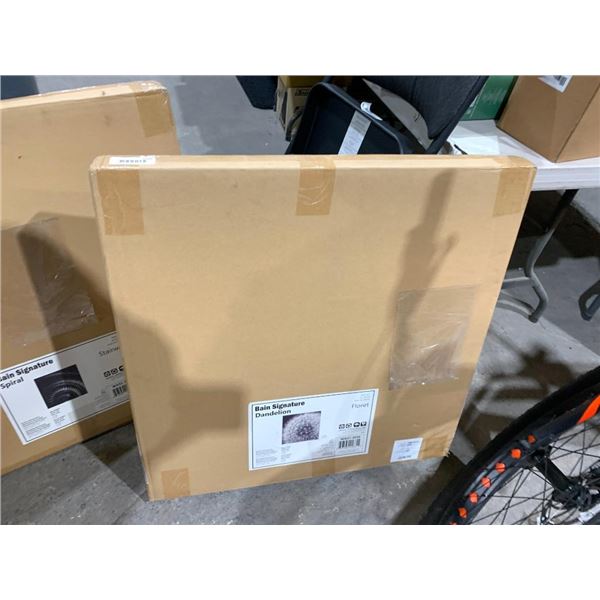 Bain Signature Dandelion Wall Art Floret 29.5"x29.5"x1.4"