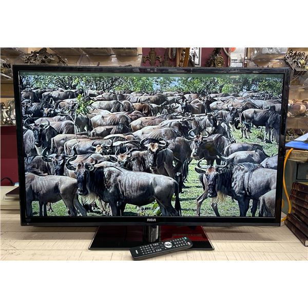 RCA 42” TV – WORKS!
