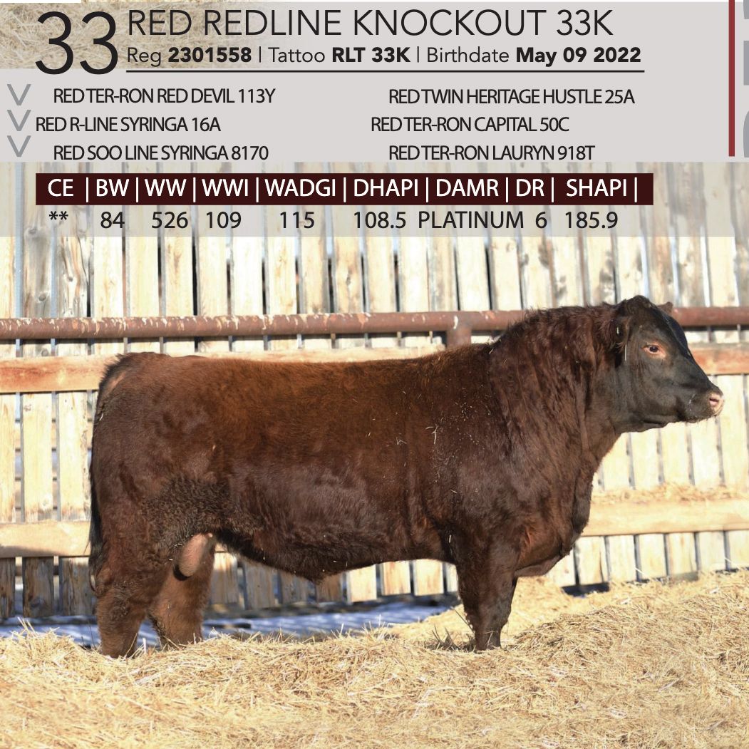 RED REDLINE KNOCKOUT 33K - Team Auction Sales