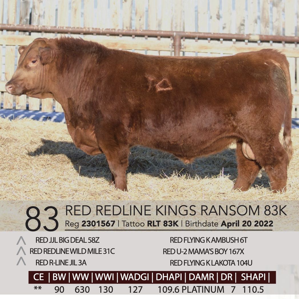 Kings Ransome Chopper RED REDLINE KINGS RANSOM 83K - Team Auction Sales