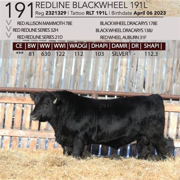 Redline Blackwheel 191L