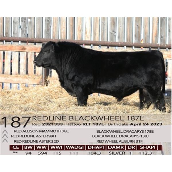Redline Blackwheel 187L
