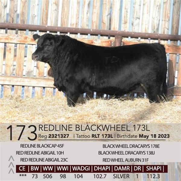 Redline Blackwheel 173L