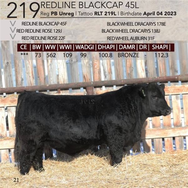 Redline Blackcap 219L