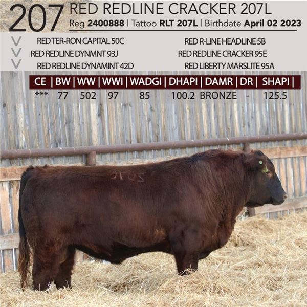 Red Redline Cracker 207L