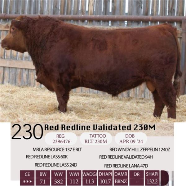 Red Redline Validated 230M